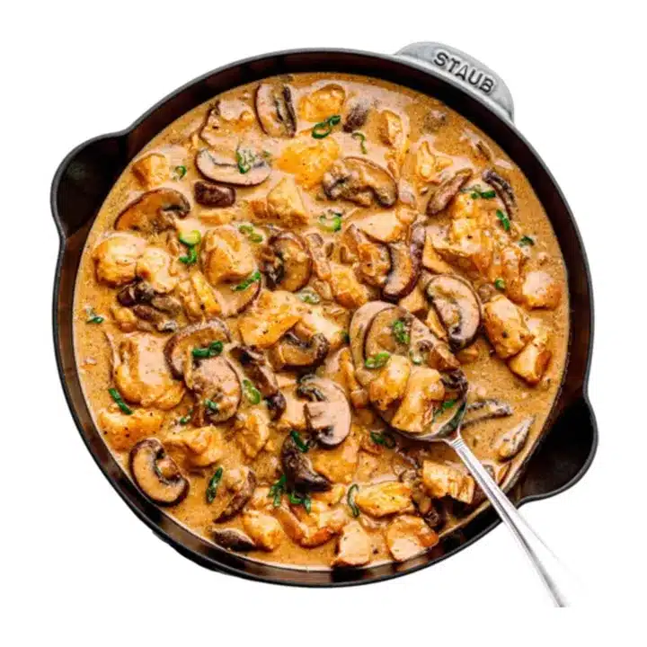 چیکن استروگانف